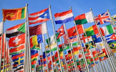 DES PLADOYERS AUPRÈS DES INSTANCES NATIONALES ET INTERNATIONALES