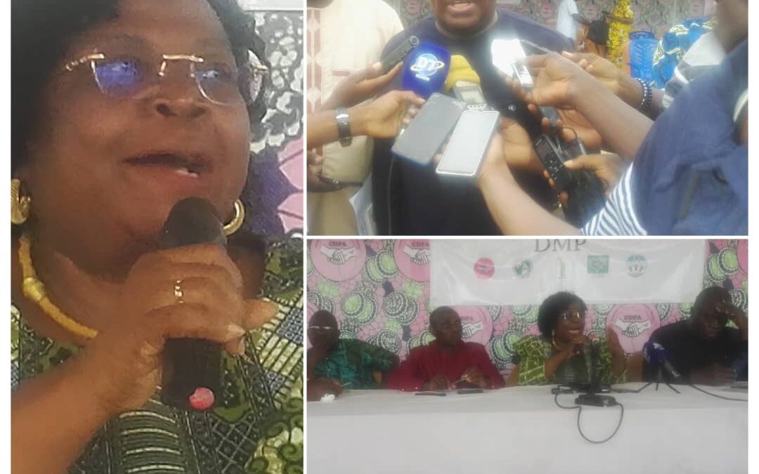 TOGO : LA NOMENCLATURE POLITIQUE DE LA DMP TOURNÉE BEAUCOUP PLUS VERS LE SOCIAL ET LES DROITS HUMAINS