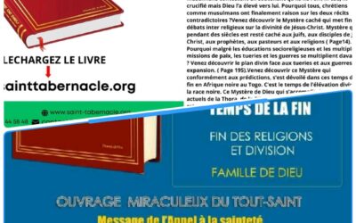 VIENT DE PARAÎTRE : LE LIVRE TITRÉ : > UN LIVRE DE LA TROISIÈME DIMENSION. À LIRE ET À RELIRE ABSOLUMENT !!!