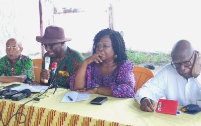 TOGO : ÉLECTIONS LÉGISLATIVES ET RÉGIONALES / LA DMP NOTE UN FAIBLE TAUX DE PARTICIPATION, DES ACHATS DE CONSCIENCE, L’USAGE DE LA FORCE, DES BOURRAGES D’URNES….