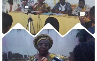 TOGO /LA DMP AU PARLEMENT : UNE NOUVELLE FORME DE COMBAT AU PROFIT DU PEUPLE TOGOLAIS