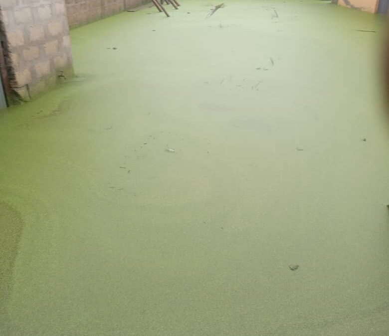ADIDOGOMÉ/AKOFALA GBOMAMÉ : DES MAISONS INONDÉES FAISANT DES SINISTRÉS LAISSÉS À L&rsquo;ABANDON