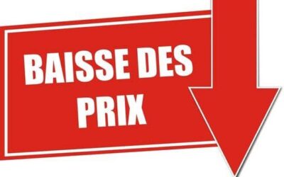 TOGO : DE LA NÉCESSITÉ DE DÉFLATIONNER LES COÛTS DES HYDROCARBURES ET AGIR SUR LES AUTRES COÛTS EN GÉNÉRAL