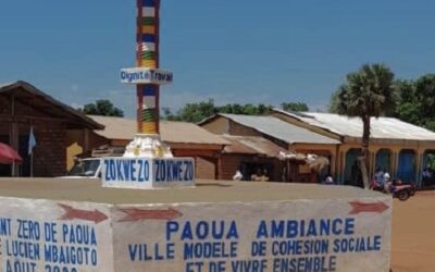 CENTRAFRIQUE : UN PREMIER CAS DE DISPARITION DE SEXE SIGNALÉ À PAOUA.