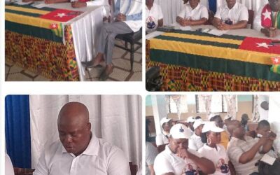 CONFÉRENCE BILAN DE LA DMK : UN QUINQUENNAT DE PARCOURS LOUABLE ET UNE REMOBILISATION POUR LA LIBÉRATION DU TOGO EN 2025