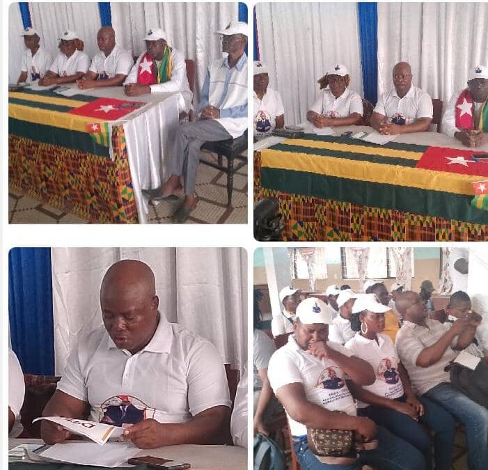 CONFÉRENCE BILAN DE LA DMK : UN QUINQUENNAT DE PARCOURS LOUABLE ET UNE REMOBILISATION POUR LA LIBÉRATION DU TOGO EN 2025
