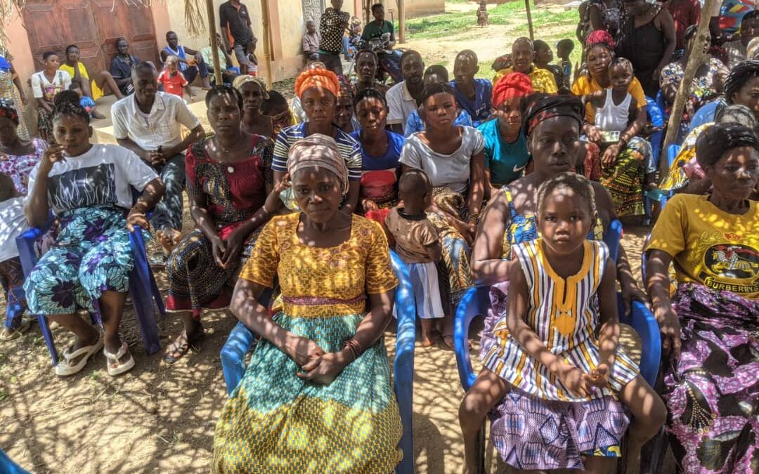 TOGO : LES CHEFS TRADITIONNELS DU CANTON DE VEH APPORTENT LEUR SOUTIEN À LA NOUVELLE CONSTITUTION