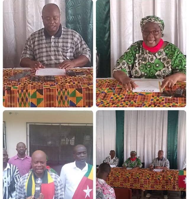 TOGO : LA DMK, LE FLN ET LEURS PARTENAIRES APPELLENT À UN SOULÈVEMENT NATIONAL ET DÉNONCENT LES APPELS DES PARTIS POLITIQUES