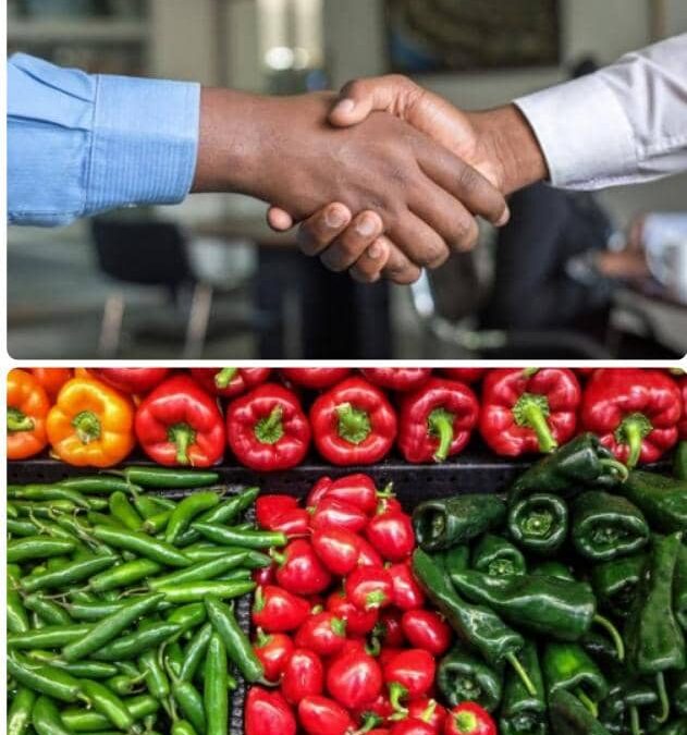 APPEL À PARTENAIRES POUR UN INVESTISSEMENT AGRICOLE SÉRIEUX ET RENTABLE AU TOGO