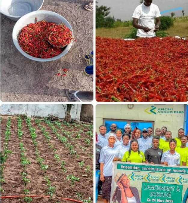 OPPORTUNITÉ D’INVESTISSEMENT DANS UN PROJET AGRICOLE RENTABLE AU TOGO